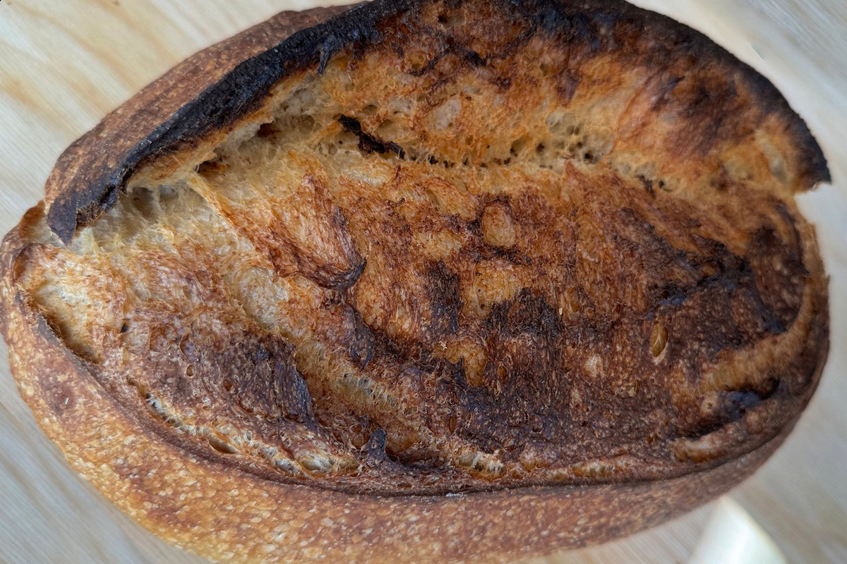Pain au Levain – Barrio Bread