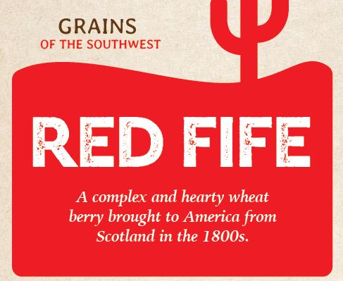 Grain - Red Fife (Wheat Berries) - 1.5 lbs Online