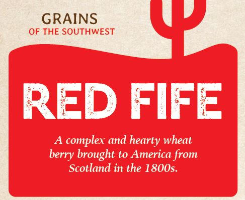 Grain - Red Fife (Wheat Berries) - 1.5 lbs (Wed pickup)