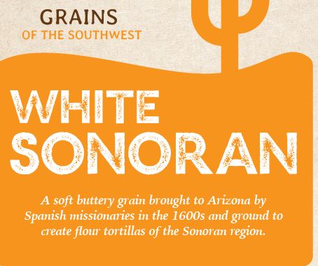 Grain - White Sonoran Grain (Wheat Berries) -  1.5 lbs (Fri pickup)